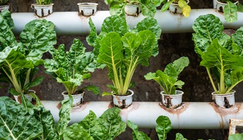 COP28's call for a just, equitable, and inclusive energy transition