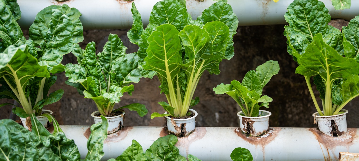 COP28's call for a just, equitable, and inclusive energy transition