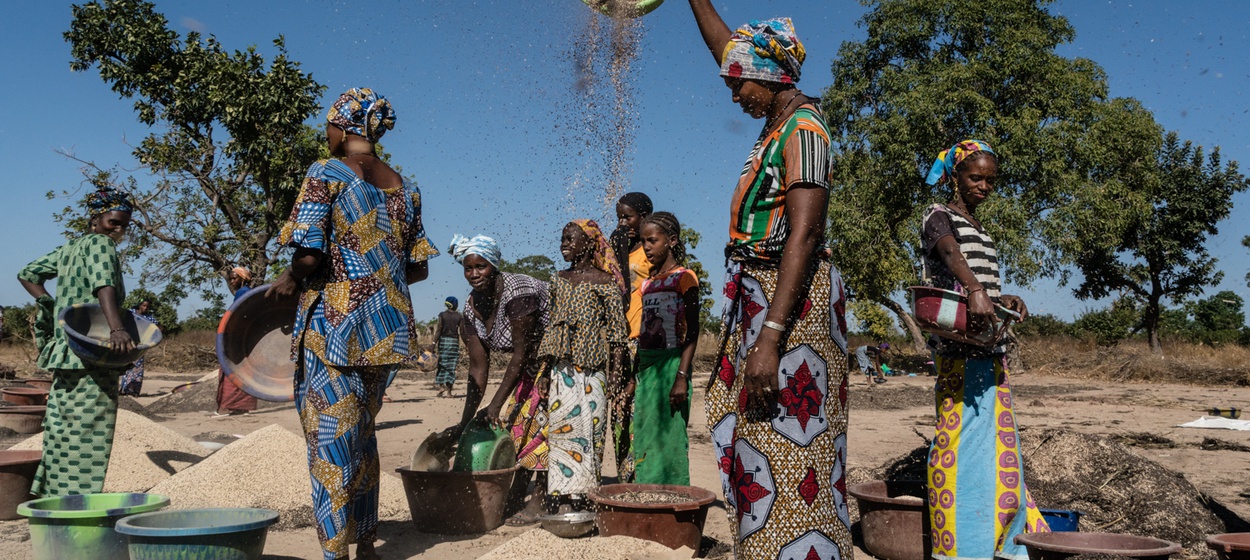 PN participation at COP27
