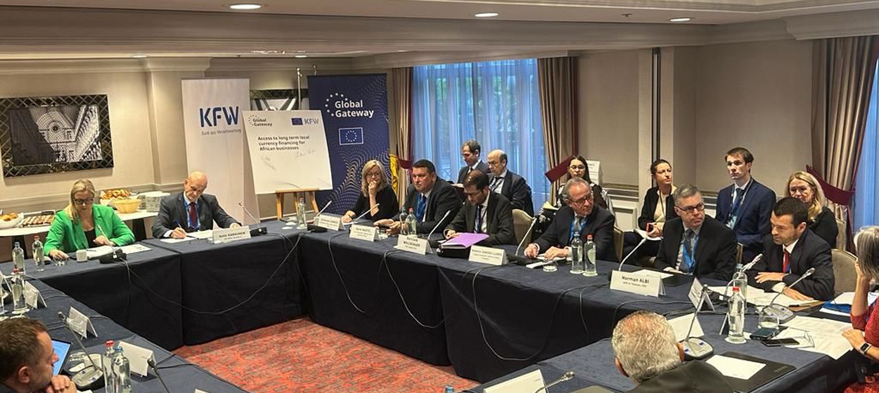 The role of development cooperation in unlocking the full potential of the Global Gateway